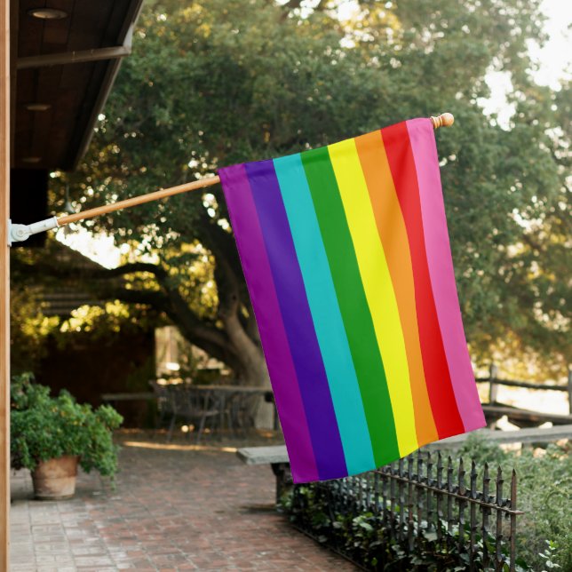 Gilbert Baker Original Rainbow Flag Gay Pride (In SItu)
