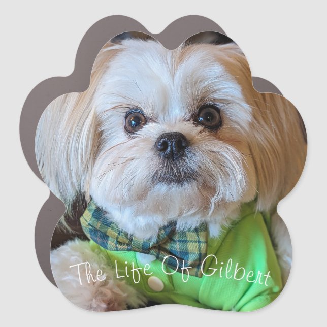 Gilbert Car Magnet  (Front)