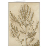 Gilded Foliage II (Front)