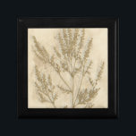 Gilded Foliage II Gift Box<br><div class="desc">Floral</div>