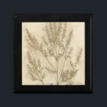 Gilded Foliage II Gift Box<br><div class="desc">Floral</div>