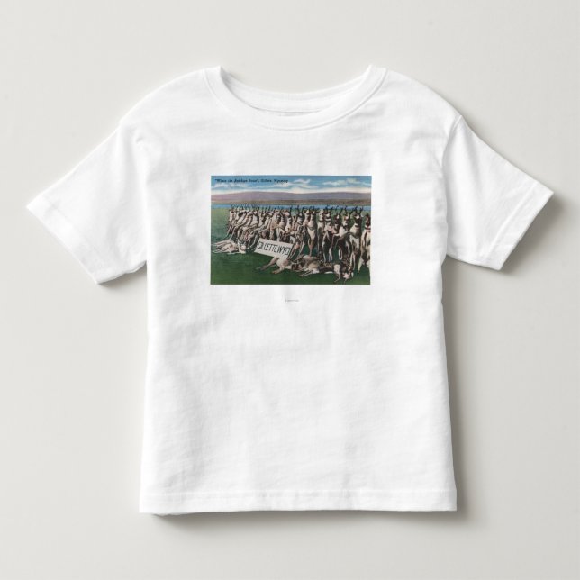 Gillette, WY - Where the Antelope Roam Toddler T-shirt (Front)