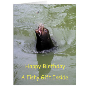 Gimme Fish...NOW Cards