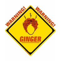 Ginger Alert! shirt