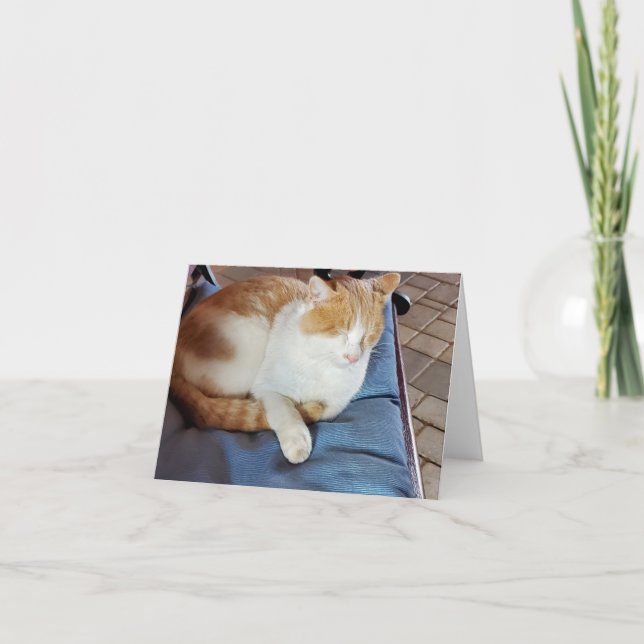 Ginger and white cat letterpress thank you card (Front)