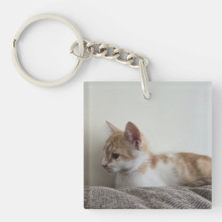 Ginger and White Kitten Keychain