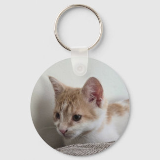 Ginger and White Kitten Keychain