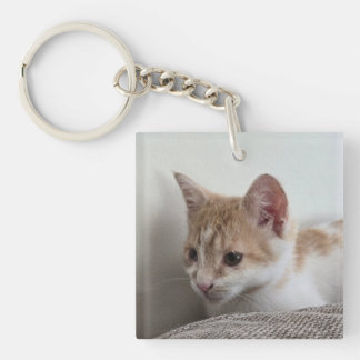 Ginger and White Kitten Keychain