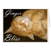Ginger Bliss Cards (Front Horizontal)