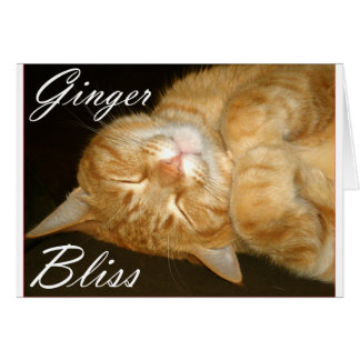 Ginger Bliss Cards