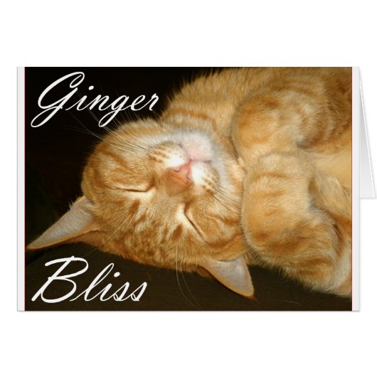 Ginger Bliss Cards (Front Horizontal)