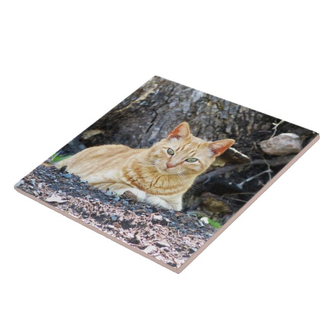 Ginger Boy Ceramic Tile (Side)