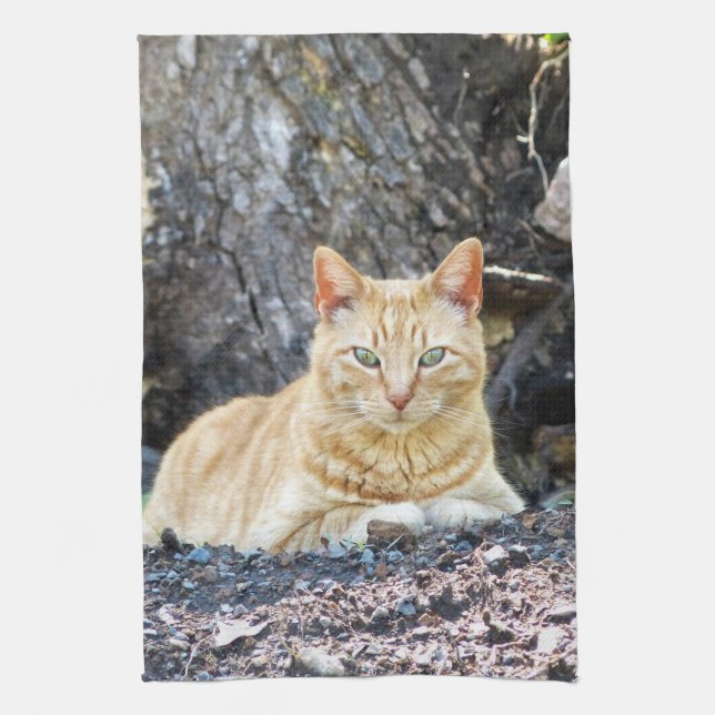 Ginger Boy Kitchen Towel (Vertical)