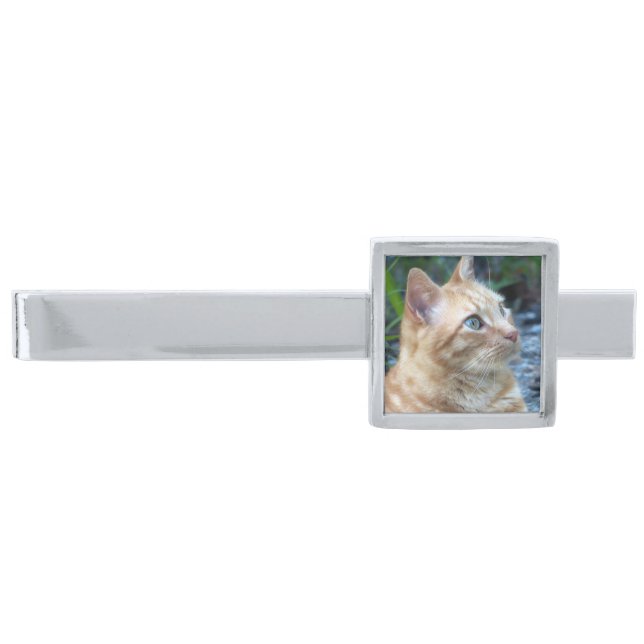 Ginger Boy Silver Finish Tie Bar (Front)