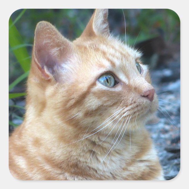 Ginger Boy Square Sticker (Front)