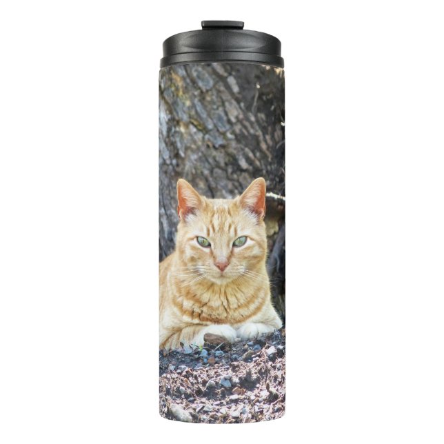Ginger Boy Thermal Tumbler (Front)