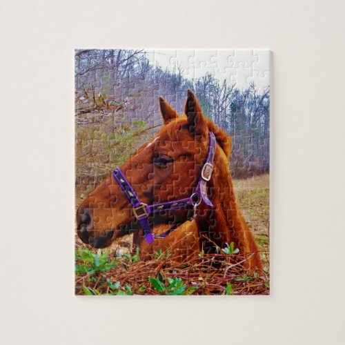 Ginger Brown Horse Jigsaw Puzzle