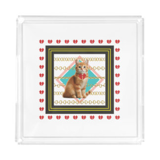 Ginger cat and Golden chain Hard plastic coaster Acrylic Tray
