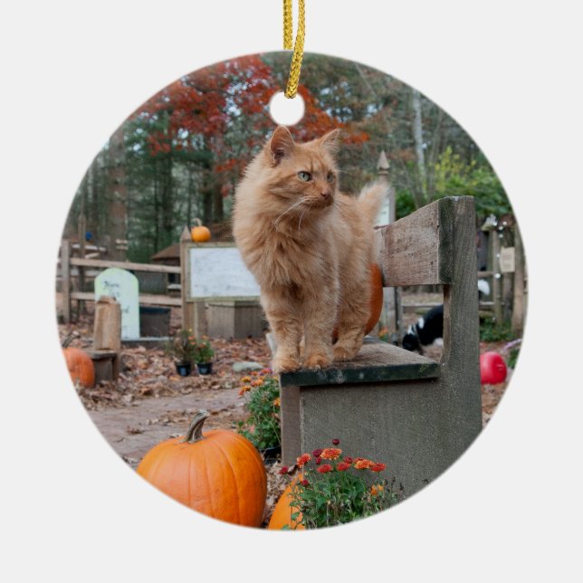 Ginger Cat and Pumpkins Ornament (Front)