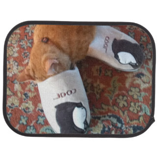 ginger cat cat floor mats