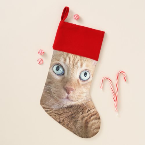 Ginger Cat Christmas Stocking