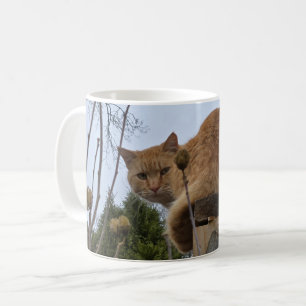 Ginger cat coffee mug