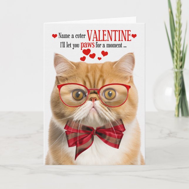 Ginger Cat Exotic Shorthair Humor Valentine's Day Holiday Card (Front)