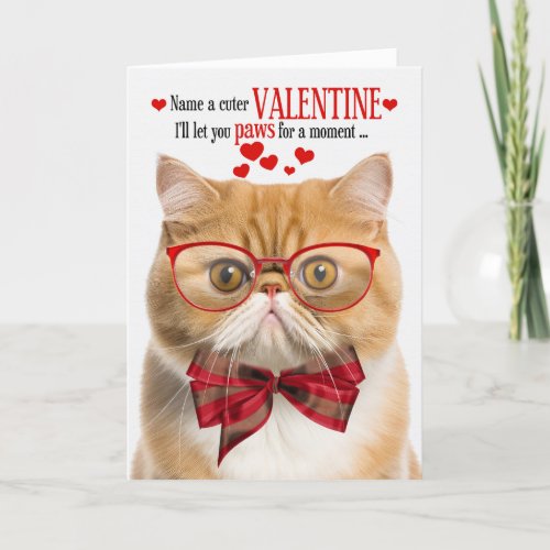 Ginger Cat Exotic Shorthair Humor Valentines Day Holiday Card