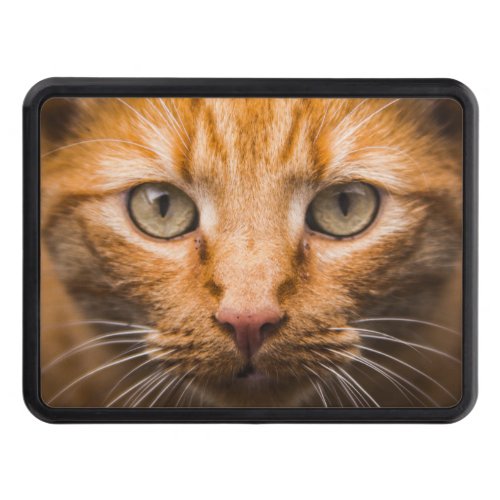 Ginger Cat Eyes Hitch Cover