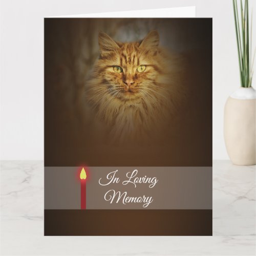 Ginger cat face photo red candle   Personalize Card