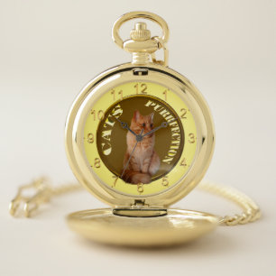 Ginger Cat Gold Coin, Pocket Watch