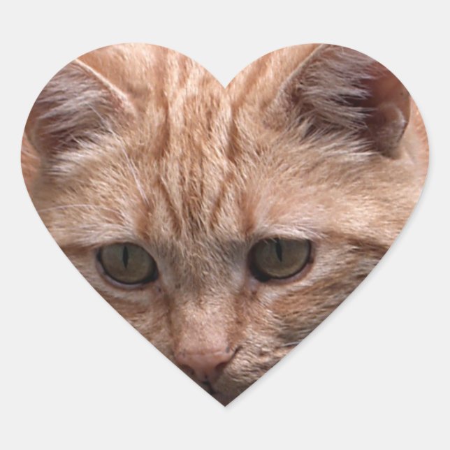 Ginger Cat Heart Shaped Sticker (Front)