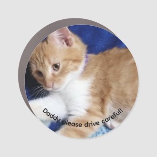 ginger cat humor photo car magnet