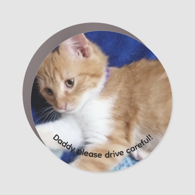 ginger cat humor photo car magnet (Front)