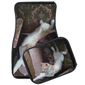ginger cat humor photo Set of Car Mats