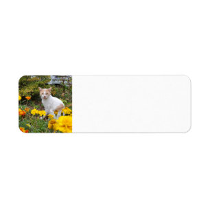 Ginger cat label