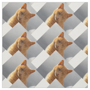 Ginger cat Merlin Fabric
