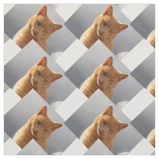 Ginger cat Merlin Fabric