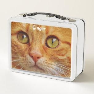 Ginger Cat Metal Lunch Box
