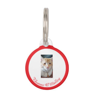 Ginger Cat , Name Photo Personalised, Funny Text, Pet ID Tag
