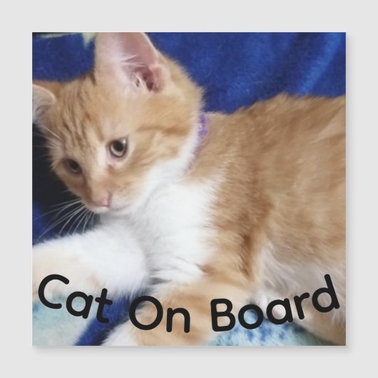 ginger cat on board photo, car magnet (Front)