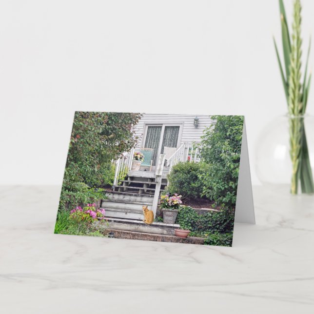 Ginger Cat on House Steps Card (Front)
