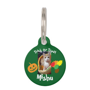 Ginger Cat Photo And Text, Customizable, Halloween Pet ID Tag