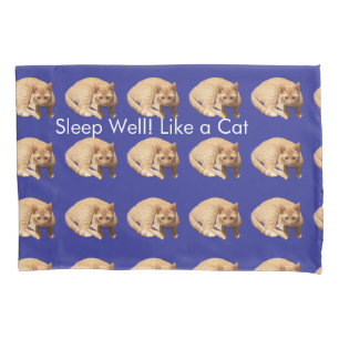 Ginger Cat Photo Humor Text Blue Red  Pillow Case