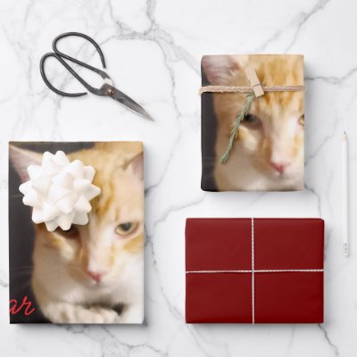 Ginger Cat Photo Text Customize Wrapping Paper Sheets