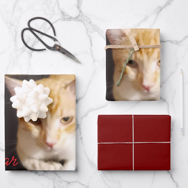 Ginger Cat Photo Text Customize Wrapping Paper Sheets (Front)