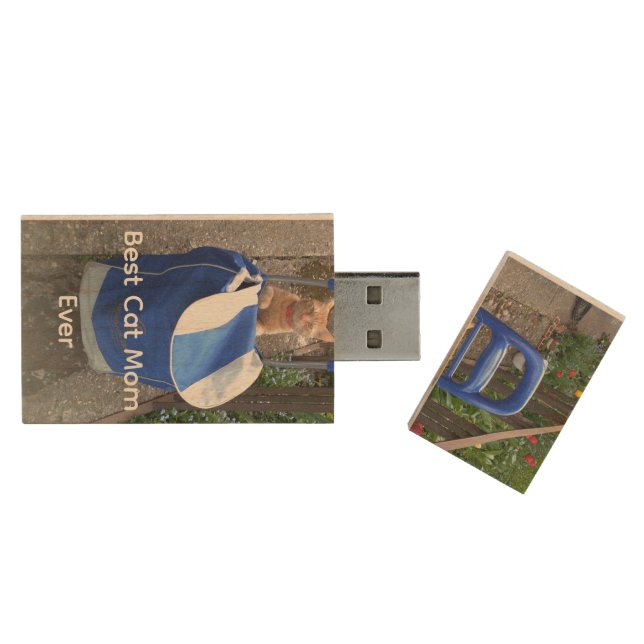 Ginger Cat Photo  Wood Flash Drive (Opened)