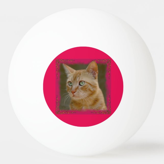 Ginger Cat Ping Pong Ball (Front)