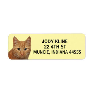 GINGER CAT  Return Address Label