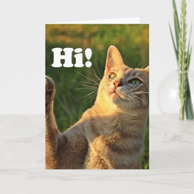 Ginger Cat Saying Hi! Card (Front)